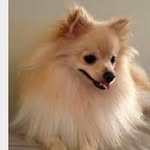 Dave Bibby - @bibby.dave - Instagram