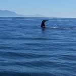 Dave Bibby - @dave.bibby36 - Instagram