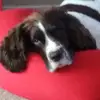 Dave Bibby - @dave.bibby - TikTok