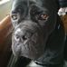 Dave Biddle - Facebook