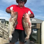 Dave Biesenbach - @davebiesenbach - Instagram