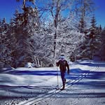 David Bielesz - @dave_bielesz - Instagram