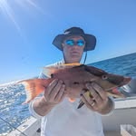 David Biery - @davebiery - Instagram