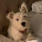 Dave Bies - @dkbies - Instagram