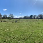 Dave - @davebillington1379 - Instagram