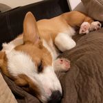 David Bilyeu - @davidbilyeu82 - Instagram
