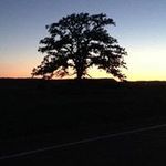 Dave Binder - @daveleebinder - Instagram