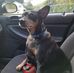 Dave Bingaman - Facebook