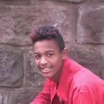 bini dave dave bini - @binidave - Instagram