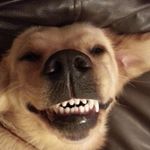 Dave Birch - @davebirchnz - Instagram