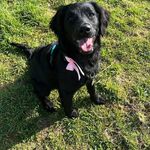 Dave Birkett - @dave.birkett - Instagram
