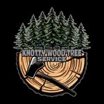 David bitzer - @daves_tree_adventures - Instagram