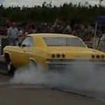 Dave Bjorklund - @dave.bjorklund - Instagram