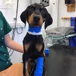 Dave Blackburn - @davejblackburn - Instagram