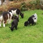 David Blackhurst - @dib7282 - Instagram