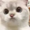 david.blackhurst - @david.blackhurst - TikTok