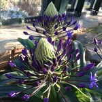 Dave Blackwell - @dave_blackwell__ - Instagram