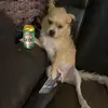 daveblackwell596 - @daveblackwell596 - TikTok