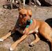 David Blankenship - Facebook