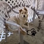 Dave-Ramona Blanton - @ramona_daveblanton - Instagram