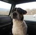 Dave Blosser - Facebook
