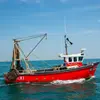 daveytheboatman - @daveytheboatman - TikTok
