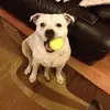 Dave Boddy855 - @daveboddy855 - TikTok