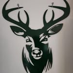 Dave Bohl - @bohl.dave - Instagram