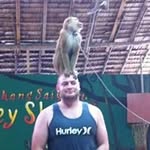 Dave Bolt - @dasbolt - Instagram