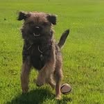Dave Bolt - @dave.bolt.77 - Instagram