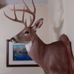 David Bonnell - Facebook