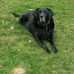 David Bonnell - Facebook