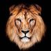 Dave Boss - Facebook