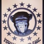 dave boss - @dave_boss - Instagram
