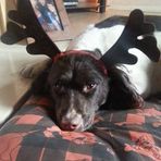 Dave Bott - Facebook