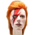 David Bowie 🐦collector - @bowierecords - Instagram