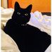 Xena &amp; Dave &amp; Bowie - Facebook