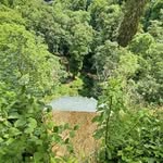 Dave Bowles - @theox40 - Instagram