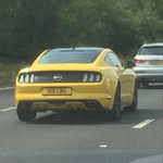 dave bowles - @dabowles007 - Instagram