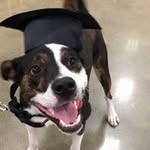 Dave Boyer - @daveb6342 - Instagram