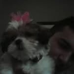 Dave Boylan - @boylandave - Instagram