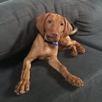 Dave Boylan - Facebook