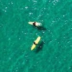 David Boylan - @licktheplatesd - Instagram