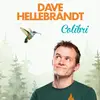 Dave Hellebrandt - @dave_hellebrandt - TikTok