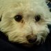 Dave Brekke - Facebook
