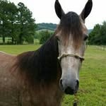 Dave Brewer - @dmb8083 - Instagram