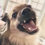 Dave Brockway - @brockwaydave - Instagram