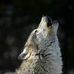 David Brockway - Facebook