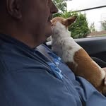 Dave Broussard - @dawingss1962 - Instagram