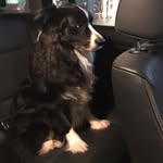 Dave Bryce - @dave.bryce.180 - Instagram